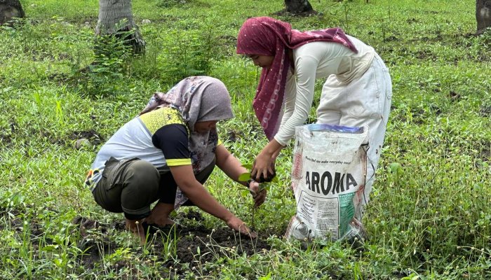 510907415_1284832086982741_879704998282886787_Bianca Dominique Rey