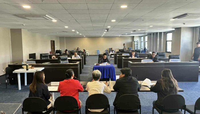 5d292c46-9010-4126-9760-e43dd3b82644_Mirma Mae Tica-Ortiz