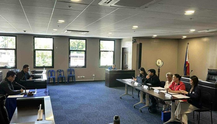 a0420ae6-6a76-4dc6-b115-16566f58b0c5_Mirma Mae Tica-Ortiz